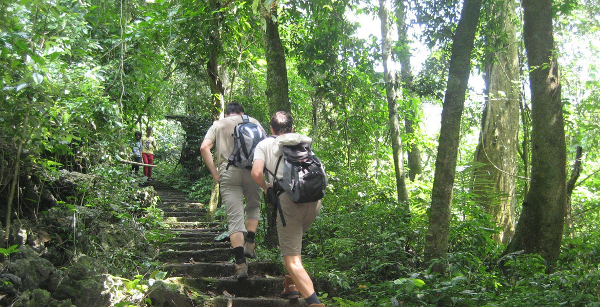 Cuc Phuong National Park Day Tour